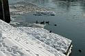 2009-01-08, Schnee (7)